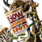 Stone Arch Graphic Spin Kids Novel Lion Tiger Leopard Adventure-0
