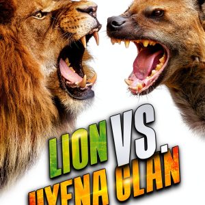 Animal Battles Lion vs Tiger Kids Ebook by Brand Kindle Edition-0