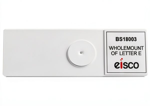 Microscope Slide EISCO BS18003 Transparent Glass Single Slide Letter e-1