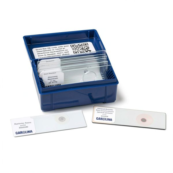 Carolina Microscope Sample Slides 100 Pack High Quality Glass-0
