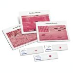 Microscope Sample Slides Carolina Pre Mounted High Clarity Set-0