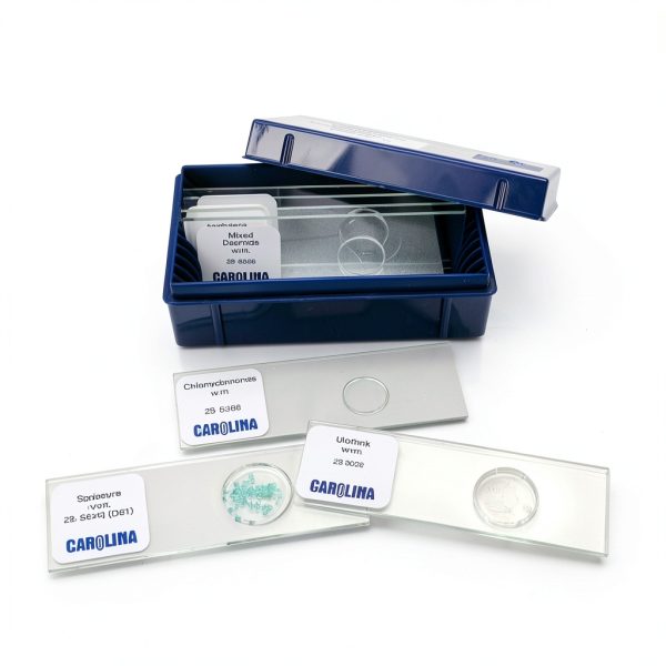 Carolina Biological Microscope Slides 100 Pack Clear Glass-0