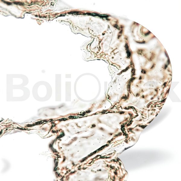 Microscope Slides Boli Optics Set of 25 Human Samples SL39901005-5