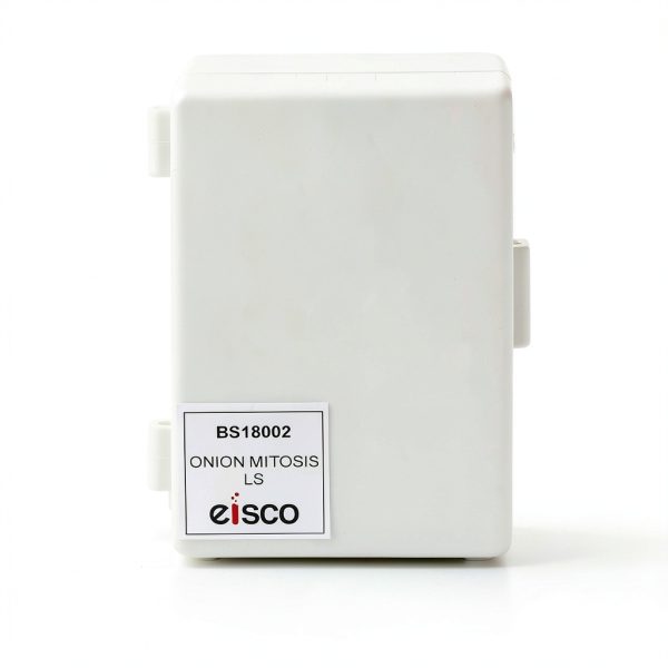 Eisco Prepared Microscope Slides – Onion Root Tip Mitosis Pack of 10-1