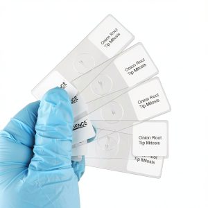 Onion Root Tips Cell Mitosis Microscope Slides Set DIY-SCIENCE 5pcs-0