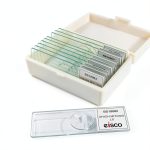 Eisco Prepared Microscope Slides – Onion Root Tip Mitosis Pack of 10-0