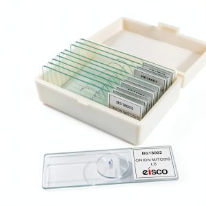 Eisco Prepared Microscope Slides – Onion Root Tip Mitosis Pack of 10-0