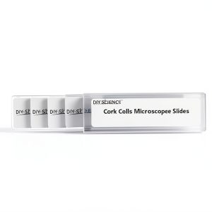 Cork Cells Prepared Microscope Slides, 5 Pack Cork Slides to Learn About Cell Structure Found in Plants-0