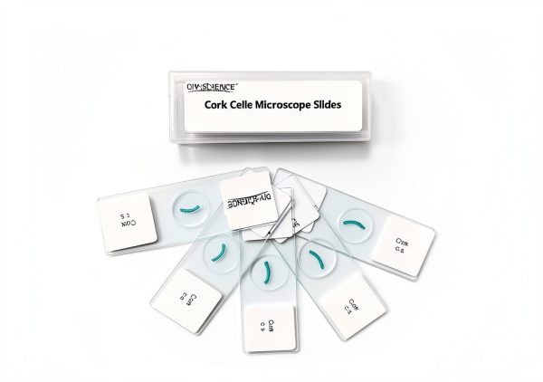Cork Cells Prepared Microscope Slides, 5 Pack Cork Slides to Learn About Cell Structure Found in Plants-3