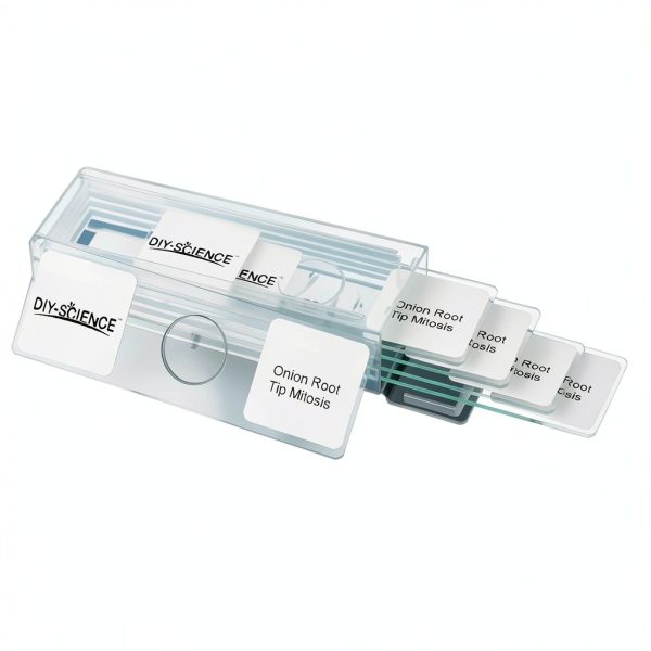 Onion Root Tips Cell Mitosis Microscope Slides Set DIY-SCIENCE 5pcs-2