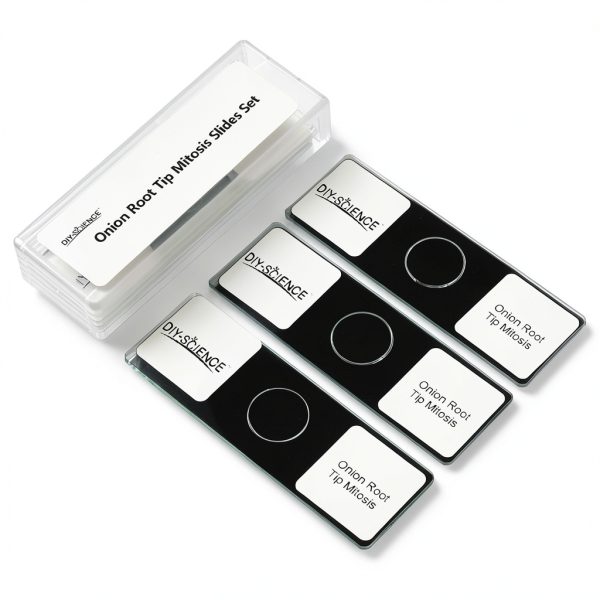 Onion Root Tips Cell Mitosis Microscope Slides Set DIY-SCIENCE 5pcs-4