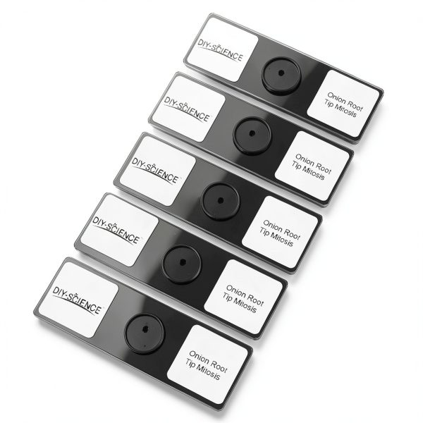 Onion Root Tips Cell Mitosis Microscope Slides Set DIY-SCIENCE 5pcs-3