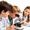 48 Prepared Microscope Slides Set, Animal Plant Fruit Vegetable Specimens for Kids Students, Biology STEM Science Learning Home School Education Resource(MS-01)-3