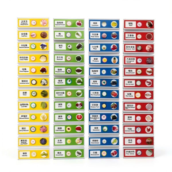 48 Prepared Microscope Slides Set, Animal Plant Fruit Vegetable Specimens for Kids Students, Biology STEM Science Learning Home School Education Resource(MS-01)-5