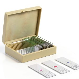 Vision Scientific VSH115 Human Pathology Slide Set - 12 Slides for-0